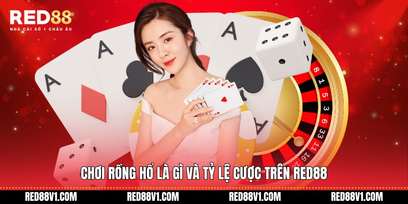 Chơi Rồng Hổ là gì và tỷ lệ cược trên RED88
