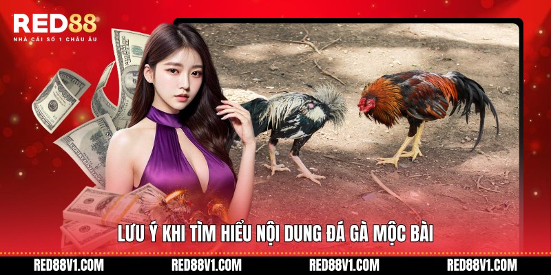 Lưu ý khi tìm hiểu nội dung đá gà Mộc Bài